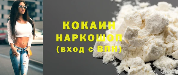 индика Новокубанск