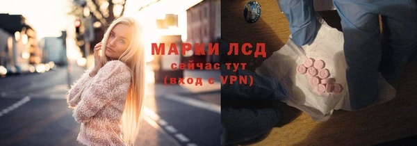 индика Новокубанск