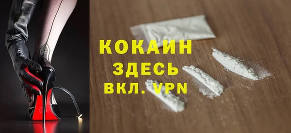 индика Новокубанск