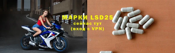 спиды Новозыбков