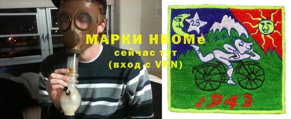 индика Новокубанск