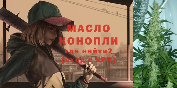 индика Новокубанск