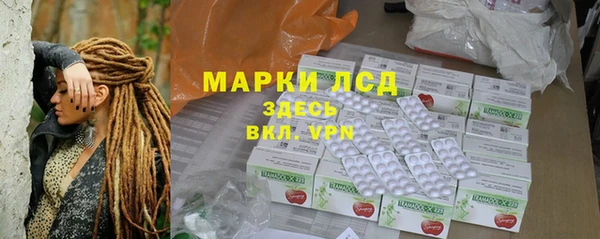 индика Новокубанск
