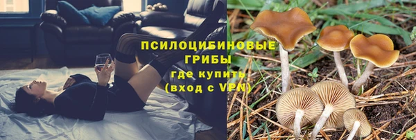 индика Новокубанск