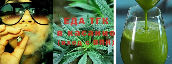 индика Новокубанск